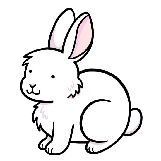 Bunny.